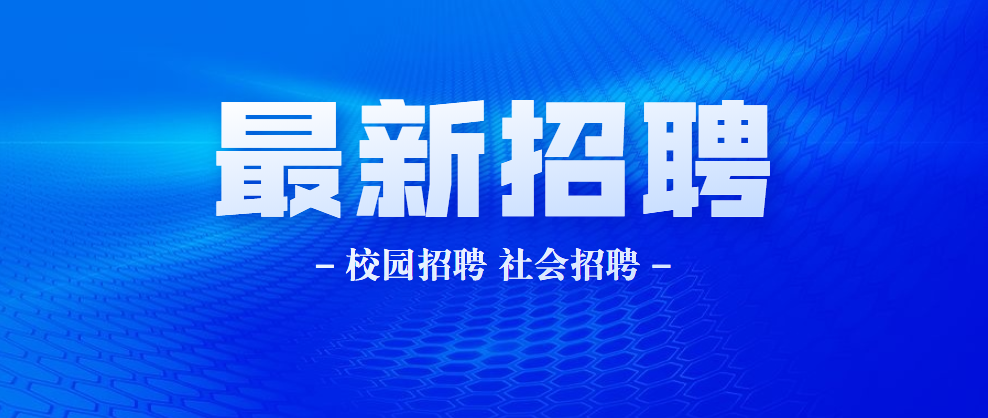 杭州招聘之旅，寻找人才的温馨故事
