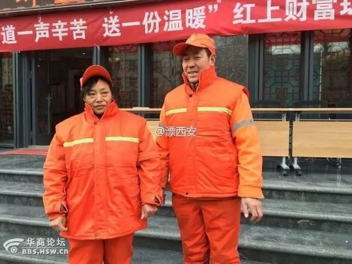 最新社保V型图解析，揭示趋势，解读政策走向