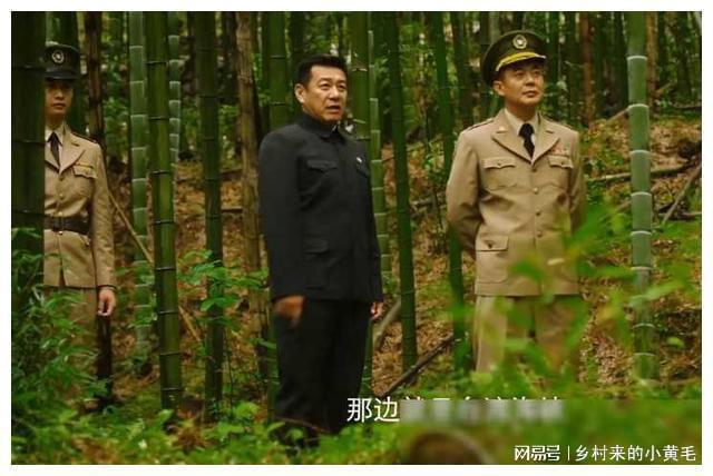 丁勇岱演艺生涯，经典电视剧作品回顾