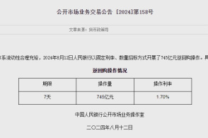 2024新澳精准资料大全,全面信息解释定义_互联版81.745