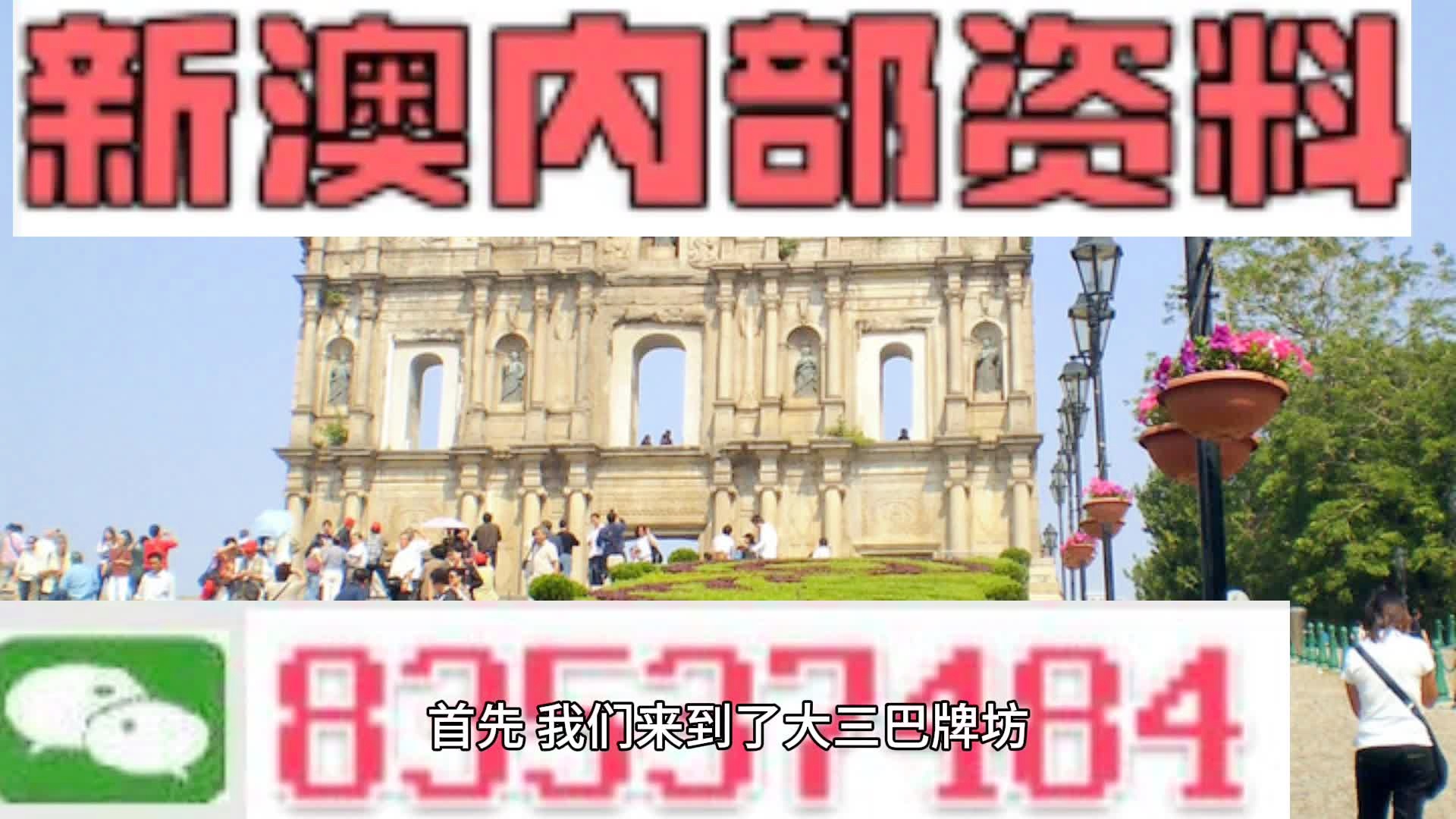 新澳精准资料免费提供219期,信息明晰解析导向_艺术版68.746