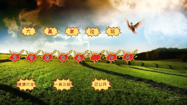柔性石墨接地线 第191页