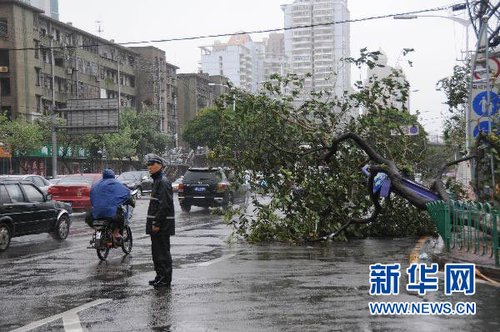 最新台风对厦门造成影响