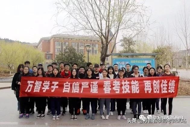 山东春季高考最新资讯，奋斗历程与温馨相伴的道路