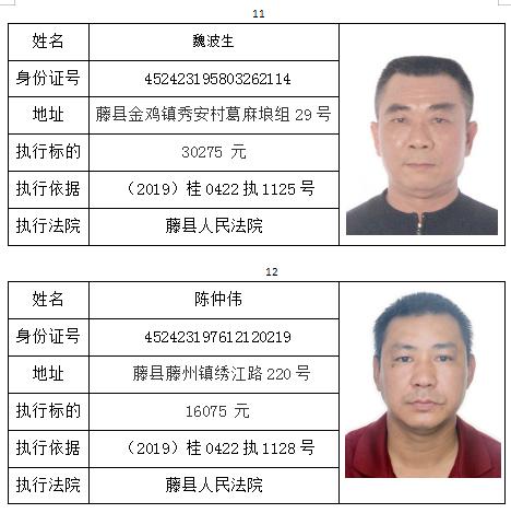 广西藤县最新任命公告发布
