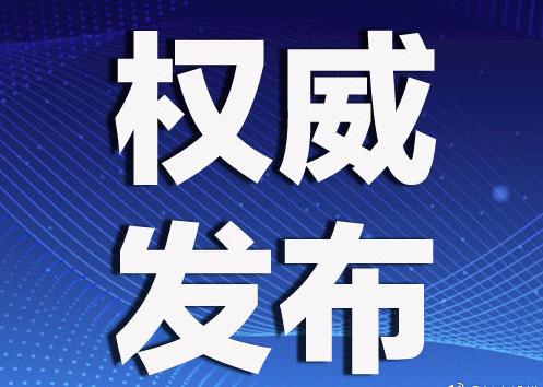 最新观点论述发布