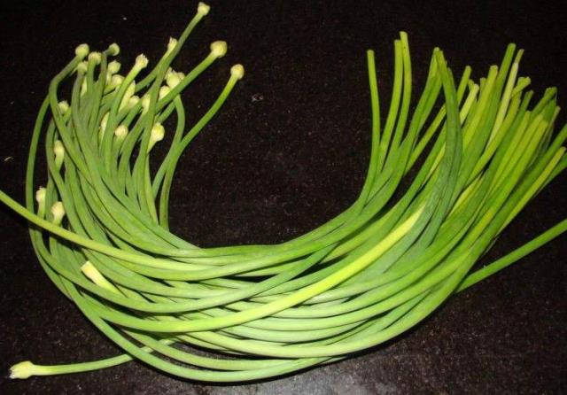 蒜苔出库价格最新行情分析简报