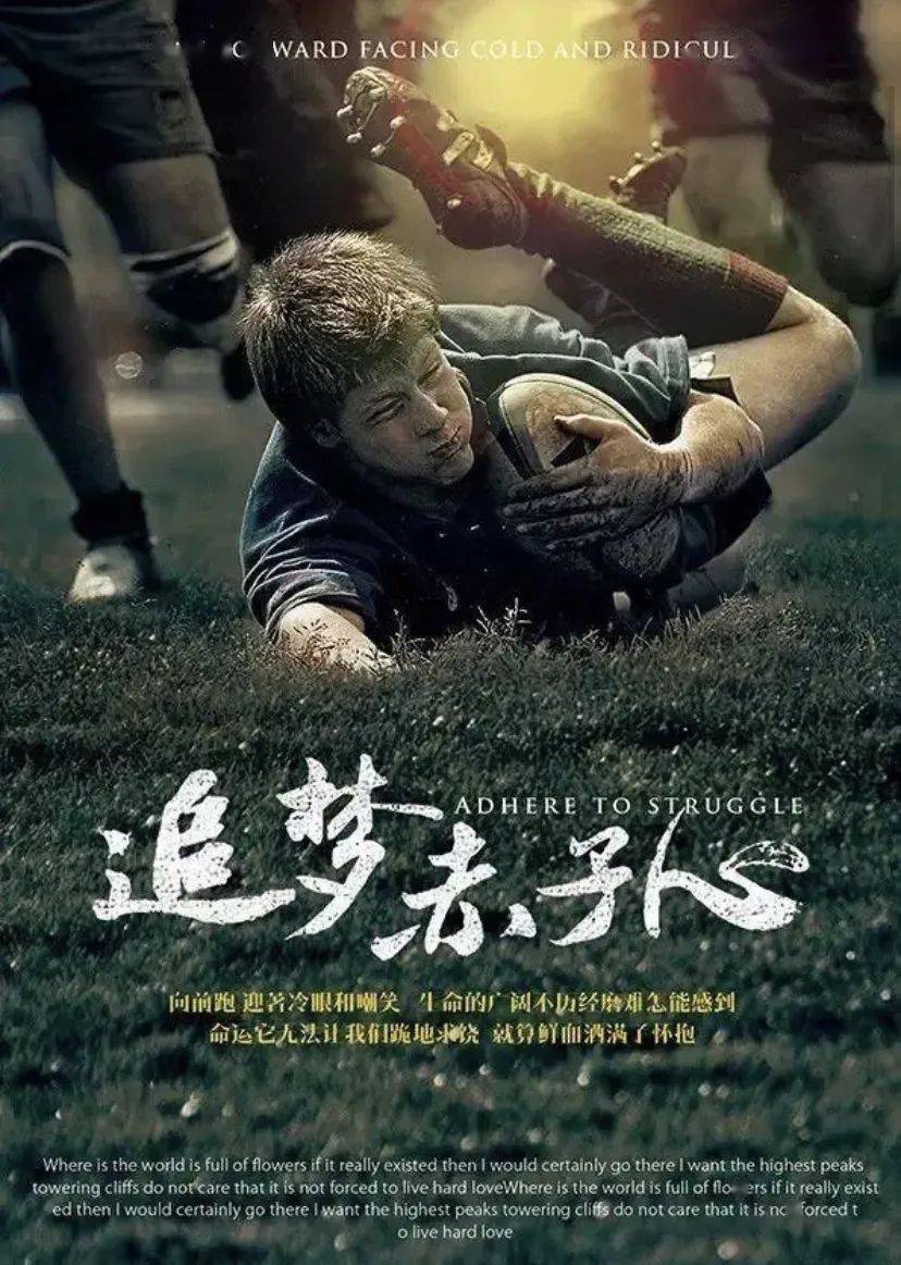 追梦赤子心电视剧感人插曲🌟