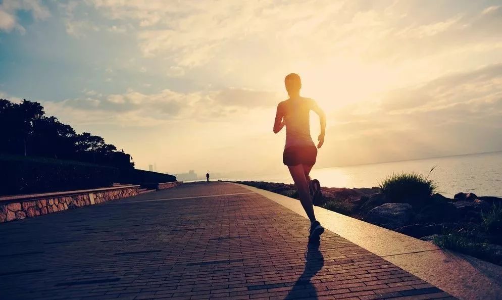 Title: Race Running: The Thrill of Competition and the Warmth of Friendship Journey
