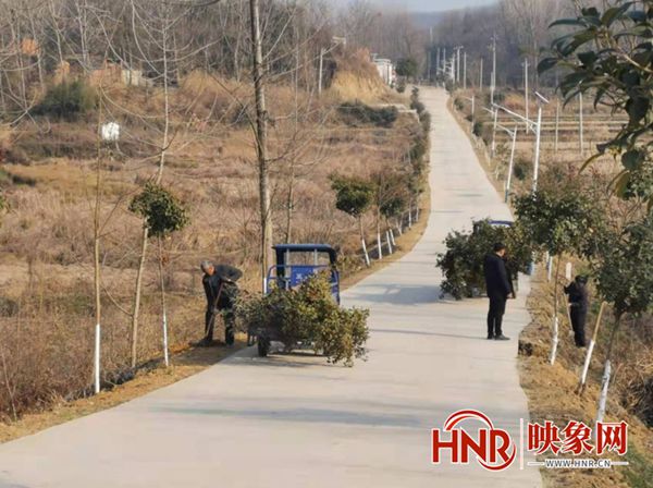 光山殷棚乡科技革新动态，智能产品引领未来生活新篇章