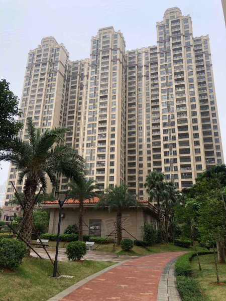 帝景金岸B区最新资讯，热门话题的多角度解析