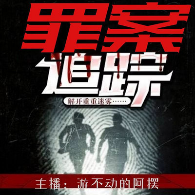 罪案追踪，揭开犯罪案件的神秘面纱