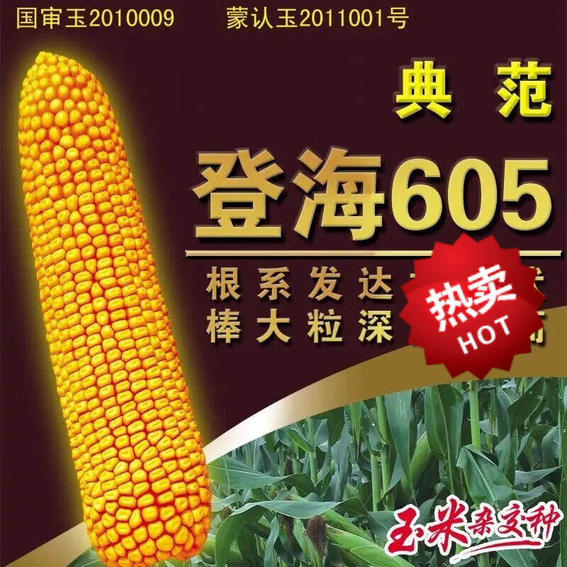 登海种业最新动态揭秘，种子秘密与友情的融合发展