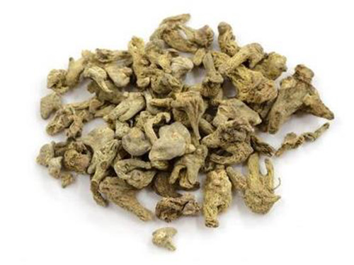 揭秘白芨的崛起与影响力，最新资讯概览