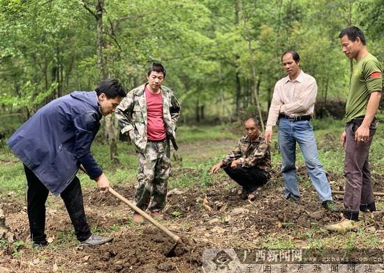 最新魔芋新闻，智能生活新品引领科技潮流，重塑未来生活体验