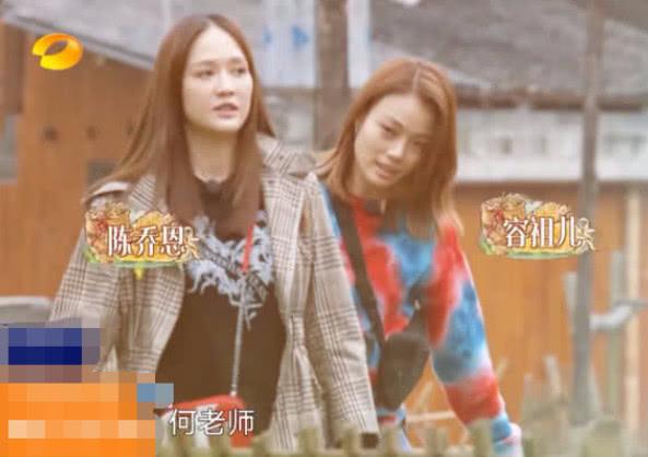 传统美食的创新之旅，探索最新粽子风采