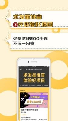 必发最新，一场温馨有趣的日常故事