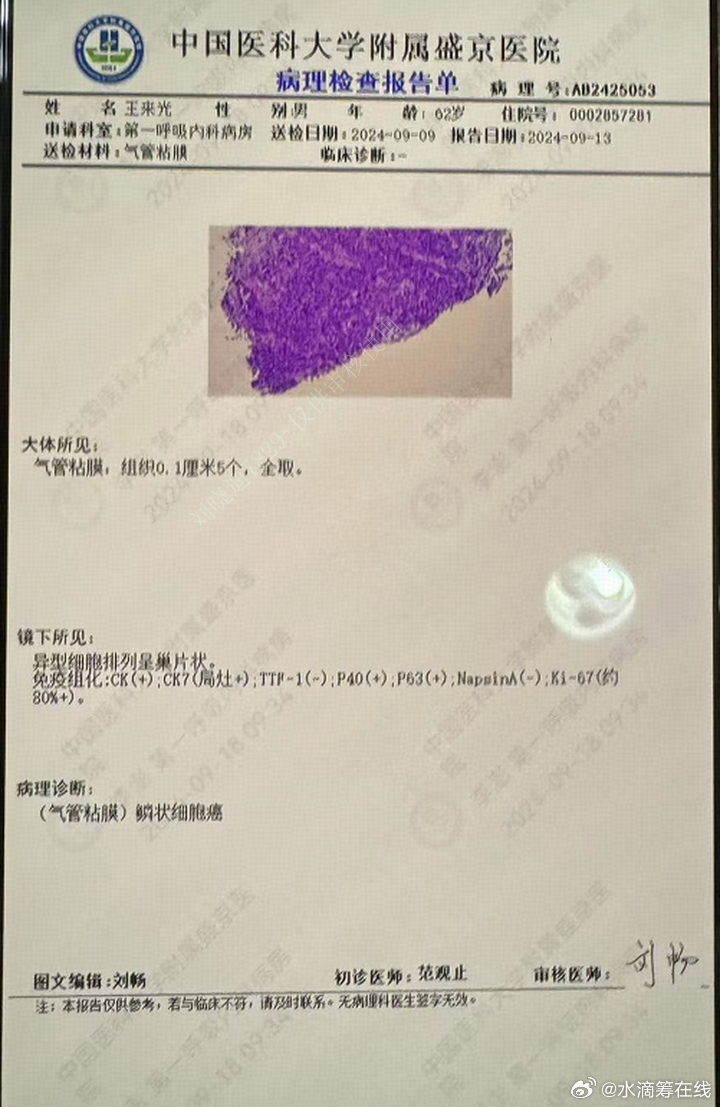 最新炕癌治疗之旅，自然美景的治愈力量