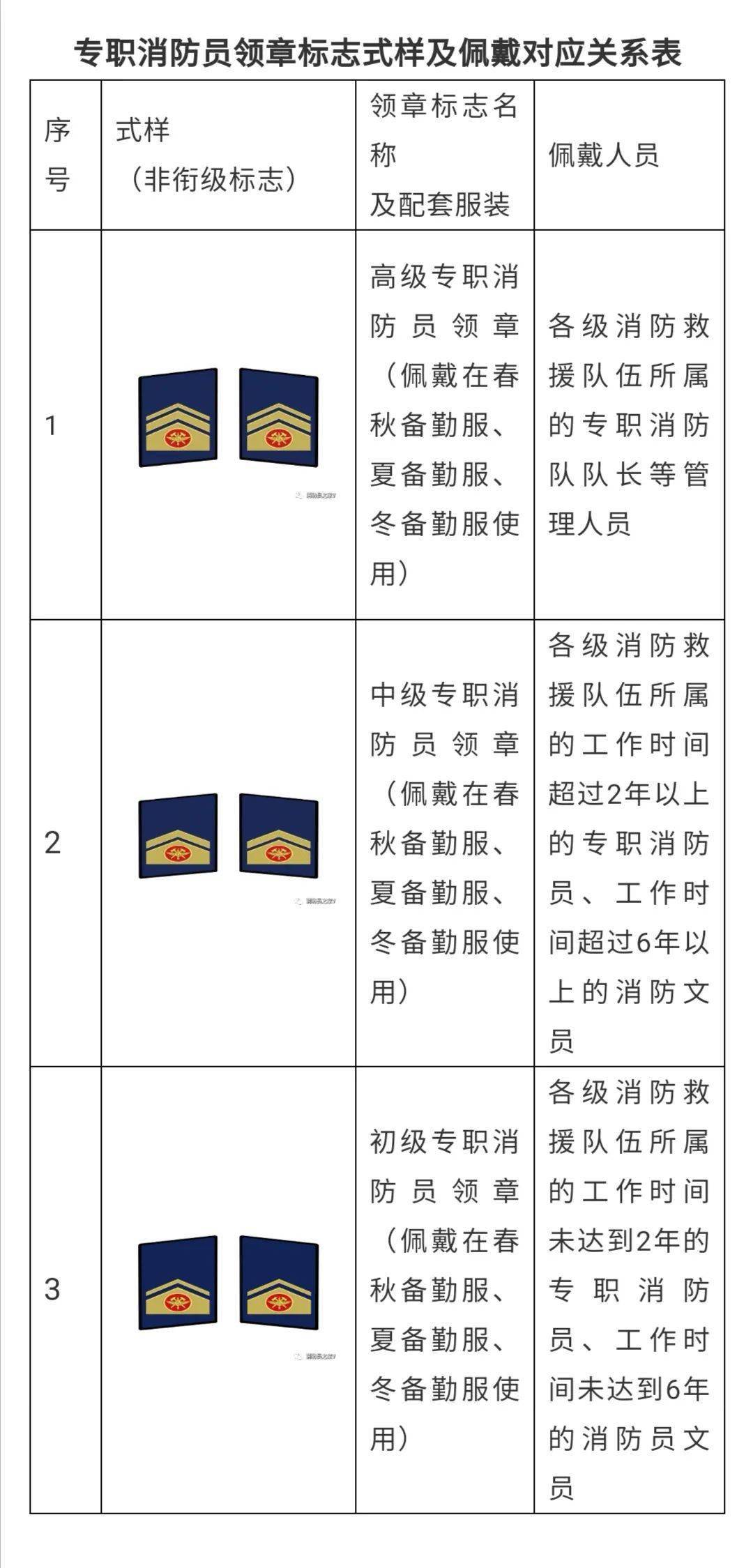 最新消防肩章，意义、作用与影响全解析