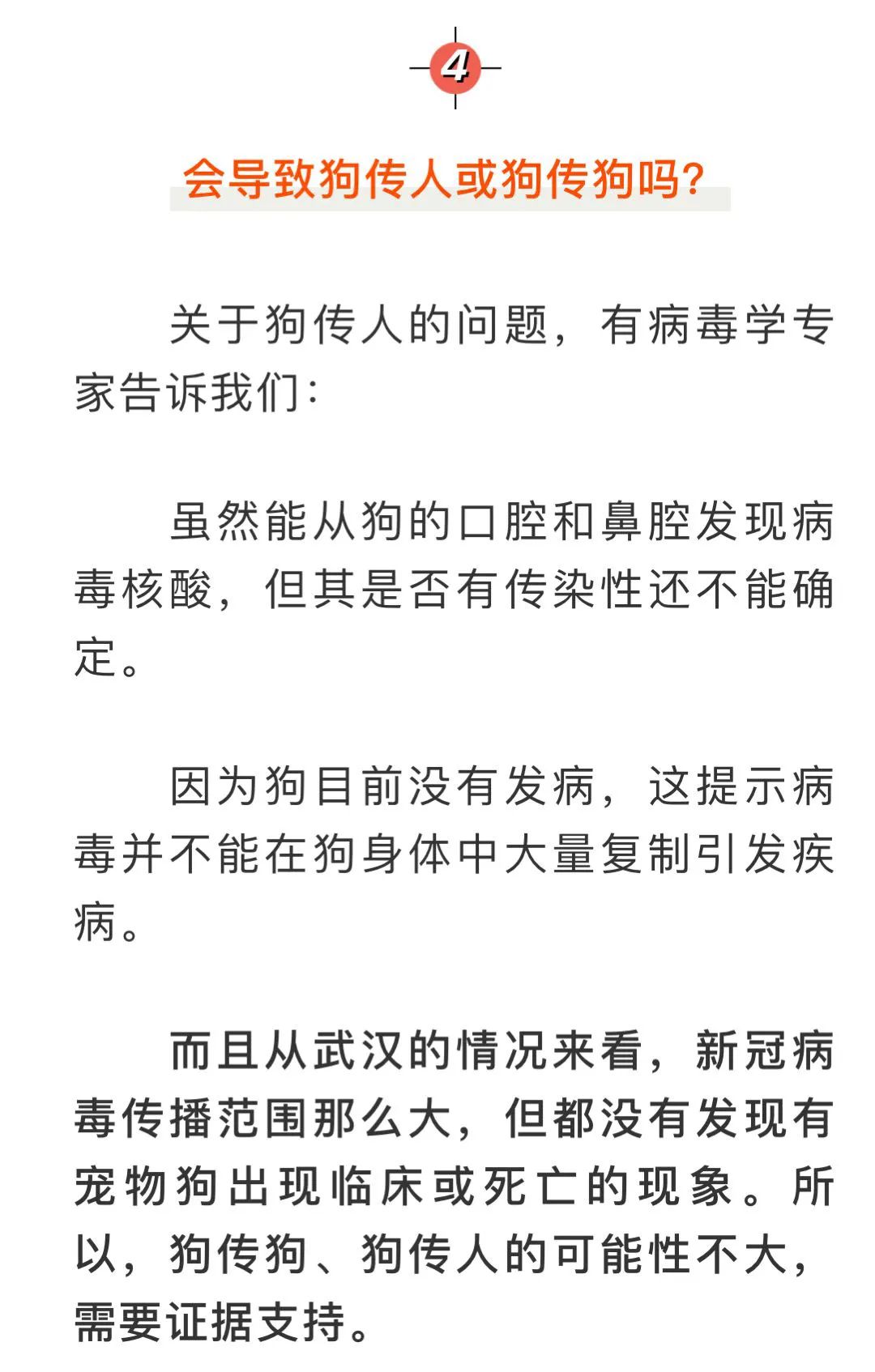 疫情下的独特发现，小巷特色小店的新故事