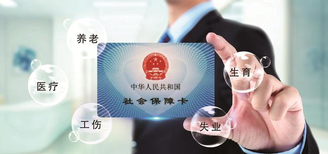 泸州最新通告，自然之旅启程，探寻内心宁静与喜悦