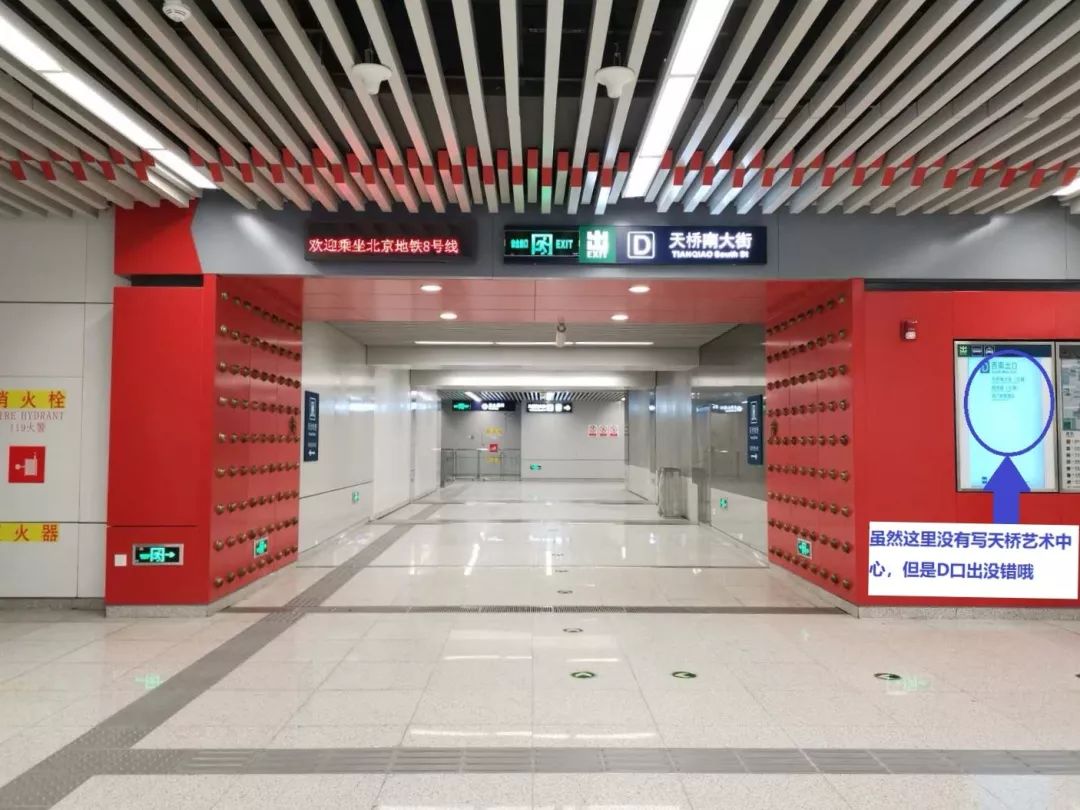 探索最新D站，前沿科技与文化的新领地