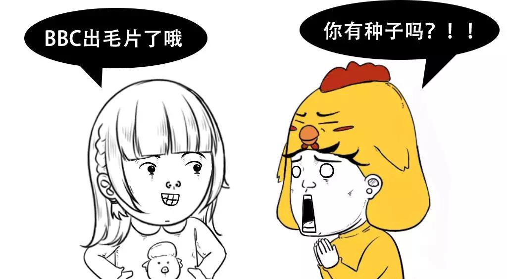 温馨毛片时光，友情与陪伴的日常故事